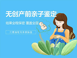 陕西怀孕了需要如何做血缘检测，陕西做怀孕亲子鉴定办理的流程