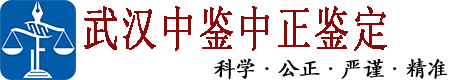中鉴网
